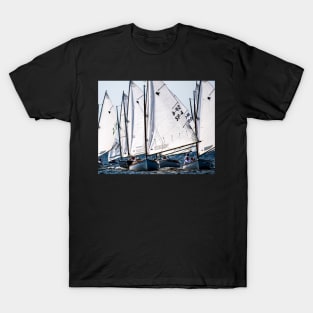 A Flock of Sandpipers T-Shirt